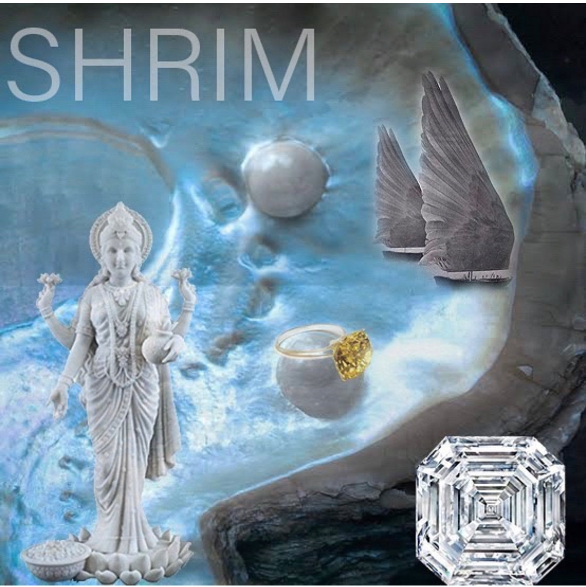 Shrim Mantra Reminder Picture (Digital Download)
